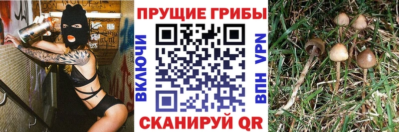 наркошоп Калуга MEGA ONION Галлюциногенные грибы Magic Shrooms